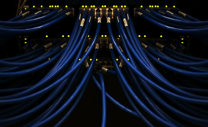 Blue network cables connected to a patch panel